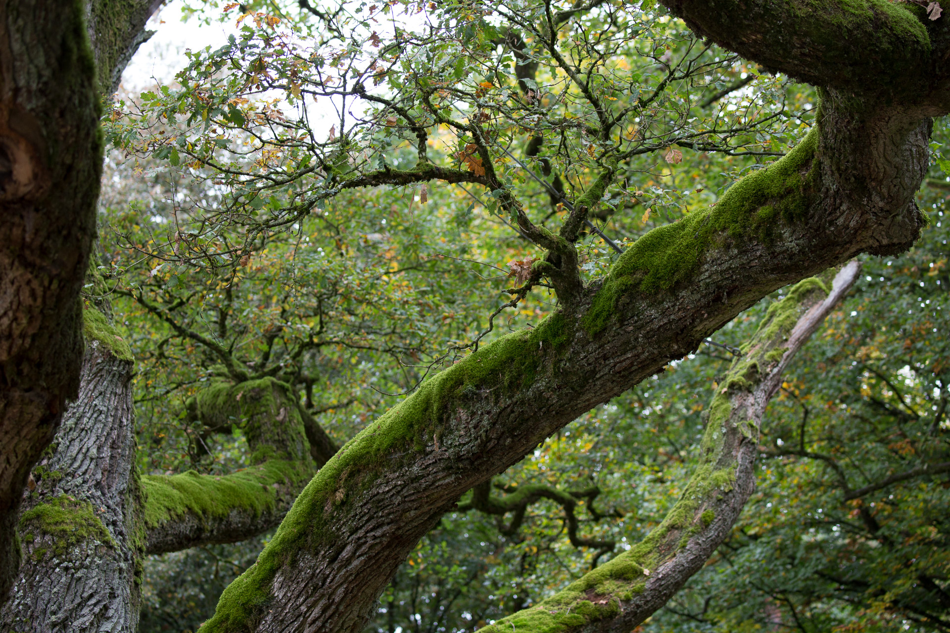 20231014100727 3K6A2241